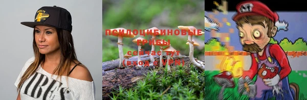 дживик Алексеевка